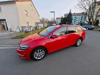 Gebraucht VW Golf VII 116 PS (85 kW) 2019 Rot Kombi