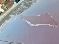 Begagnad BMW 318 150 HK (110 kW) 2008 Röd Kombi