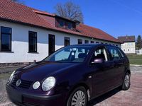 Gebraucht VW Polo 64 PS (47 kW) 2001 Violet Kleinwagen