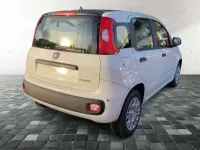 Neu Fiat Panda 69 PS (50 kW) 2025 Gelato weiß dach schwarz (weis Kleinwagen