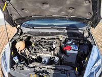 Gebraucht Ford Fiesta Trend 75 PS (55 kW) 2019 Schwarz Kleinwagen