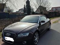 Gebraucht Audi A5 Cabriolet 211 PS (155 kW) 2010 Braun Cabrio