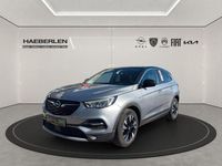 Gebraucht Opel Grandland X 131 PS (96 kW) 2020 Kontrast grau/quarz silber SUV