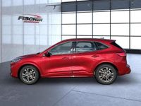 Gebraucht Ford Kuga ST-Line 150 PS (110 kW) 2023 Rot (lucidrotmetallic) SUV