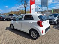 Gebraucht Kia Picanto Vision 84 PS (61 kW) 2023 Weiß Kleinwagen