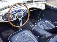 Brugt Austin Healey 100 1954 Hvid Cabriolet