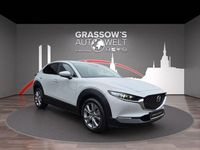 Gebraucht Mazda CX-30 Exclusive 150 PS (110 kW) 2024 Ceramic SUV