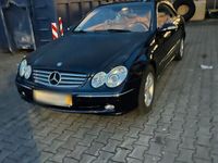 gebraucht Mercedes CLK270 cdi