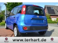 Neu Fiat Panda Icon 65 PS (47 kW) 2026 Blau Kleinwagen