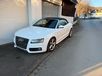 Gebraucht Audi A5 Cabriolet 240 PS (176 kW) 2010 Weiß Cabrio