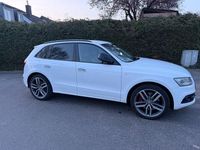 Gebraucht Audi SQ5 Sport 340 PS (250 kW) 2017 Weiß SUV