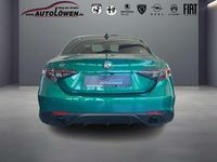 Neu Alfa Romeo Giulia 280 PS (205 kW) 2025 Verde montreal, speziallackie Limousine