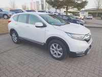 Gebraucht Honda CR-V Elegance 145 PS (106 kW) 2021 Platinum white pearl SUV