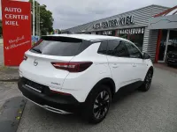 Gebraucht Opel Grandland X Elegance 131 PS (96 kW) 2021 Weiß SUV