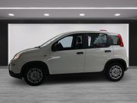 Gebraucht Fiat Panda 69 PS (50 kW) 2024 Weiß Limousine