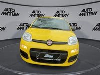 Neu Fiat Panda Cross Cross 70 PS (51 kW) 2026 Gelb Kleinwagen