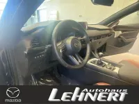 Neu Mazda 3 Nagisa 186 PS (136 kW) 2025 Kleinwagen