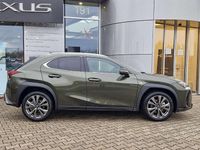 Neu Lexus UX 300h Sport Design Packet 199 PS (146 kW) 2026 Norigrün SUV