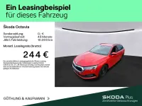 Gebraucht Skoda Octavia Ambition 150 PS (110 kW) 2022 Velvetrot premium metallic Kombi