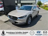 Gebraucht Mazda CX-30 Exclusive 140 PS (102 kW) 2025 Beige SUV