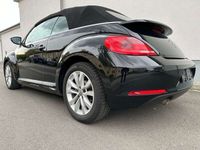 gebraucht VW Beetle Cabriolet