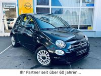 Gebraucht Fiat 500 69 PS (50 kW) 2023 Schwarz Kleinwagen