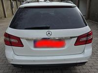 Gebraucht Mercedes E220 Avantgarde 170 PS (125 kW) 2012 Weiß Kombi