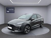Gebraucht Ford Fiesta Active 125 PS (91 kW) 2023 Grau Kleinwagen