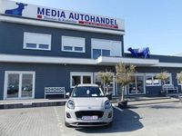 Gebraucht Ford Puma Titanium 125 PS (91 kW) 2020 Grau SUV