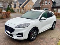 Gebraucht Ford Kuga ST-Line 120 PS (88 kW) 2024 Weiß SUV