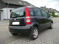 Gebraucht Fiat Panda Dynamic 60 PS (44 kW) 2009 Schwarz Kleinwagen