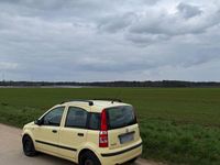 Gebraucht Fiat Panda 60 PS (44 kW) 2009 Gelb Kleinwagen