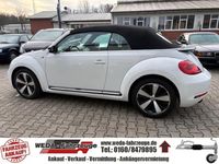 Gebraucht VW Beetle Cabriolet Sport 211 PS (155 kW) 2015 Weiß Cabrio