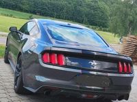 Gebraucht Ford Mustang Basis 317 PS (233 kW) 2016 Coupé