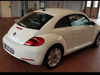 Gebraucht VW Beetle Design 105 PS (77 kW) 2012 Weiß Kleinwagen