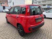 Gebraucht Fiat Panda Easy 69 PS (50 kW) 2019 Rot Kleinwagen