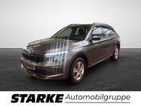 Gebraucht Skoda Kamiq Selection 116 PS (85 kW) 2025 Grau SUV