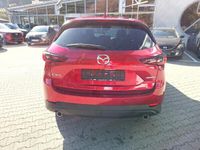 gebraucht Mazda CX-5 2023 2.0 e-SKYACTIV-G 165 Ad'vantage FWD