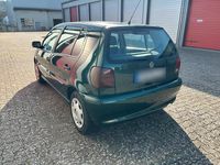 Gebraucht VW Polo 50 PS (36 kW) 1998 Grün Kleinwagen