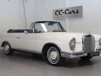 Gebraucht Mercedes 220 SE 1963 Cabrio