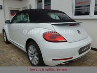 gebraucht VW Beetle 1.2TSI DSG Sound Xenon Navi AppCon. SHZ