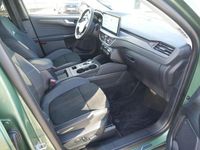 Neu Ford Kuga Active X 179 PS (131 kW) 2026 Grün SUV