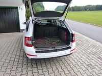 gebraucht Skoda Octavia OctaviaCombi 1.6 TDI Green tec Ambition