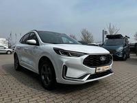 Gebraucht Ford Kuga ST-Line X 182 PS (133 kW) 2024 Frozen white SUV