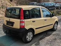 Gebraucht Fiat Panda Active 54 PS (39 kW) 2009 Beige Kleinwagen