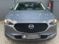 gebraucht Mazda CX-30 2,0 SKYACTIV-G M Hybrid Selection 2WD