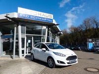 Gebraucht Ford Fiesta Titanium 101 PS (74 kW) 2017 Weiß Limousine