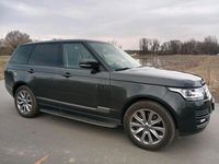 Gebraucht Land Rover Range Rover Vogue 340 PS (250 kW) 2016 Grau SUV