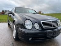 gebraucht Mercedes CLK430 w208 V8 AMG Designo *TÜV*Leder*Memory