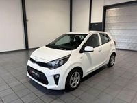 Gebraucht Kia Picanto Edition 7 84 PS (61 kW) 2024 Weiß Kleinwagen